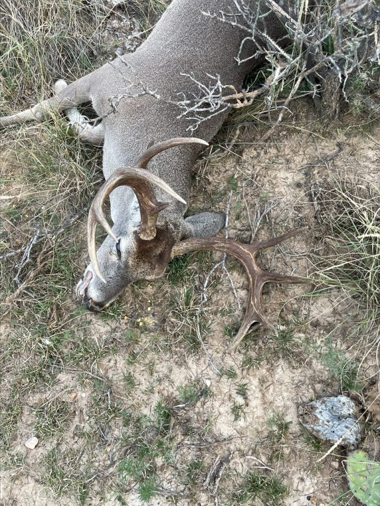 Henry B. Fernandez, VI - Buck