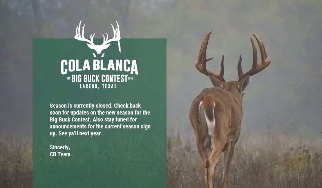 Stay tuned for leaderboard updates