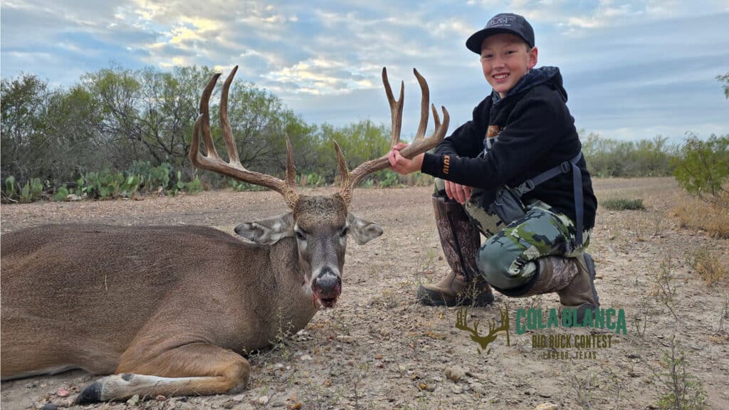 cola blanca laredo texas