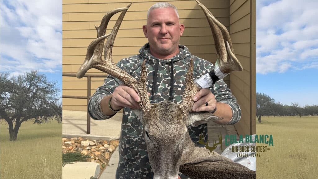 cola blanca laredo texas