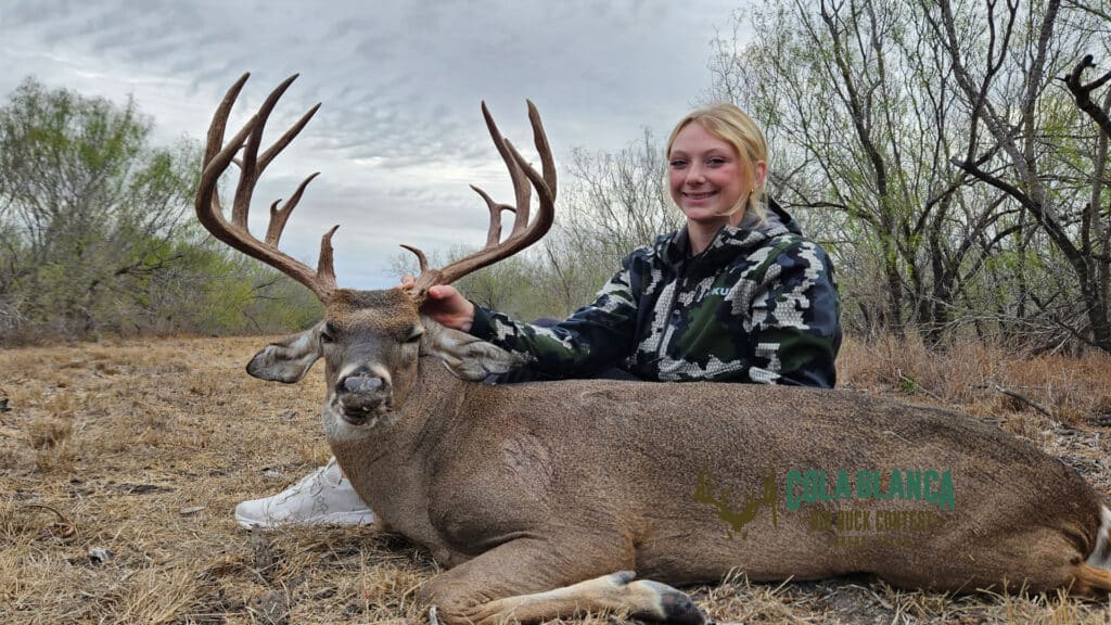 cola blanca laredo texas