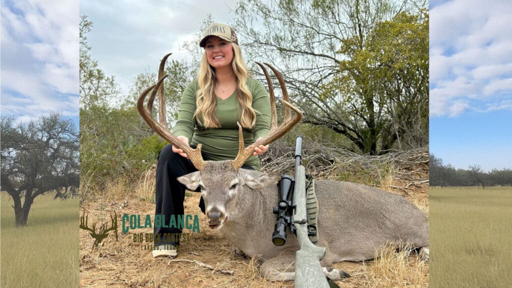 cola blanca laredo texas