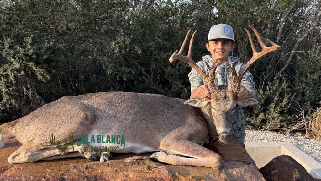 cola blanca laredo texas