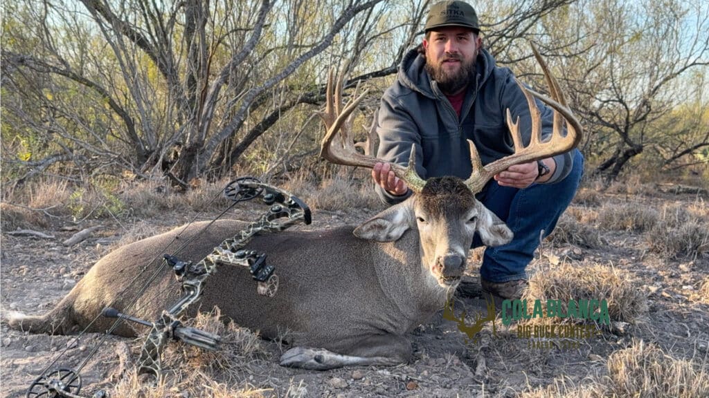 cola blanca laredo texas