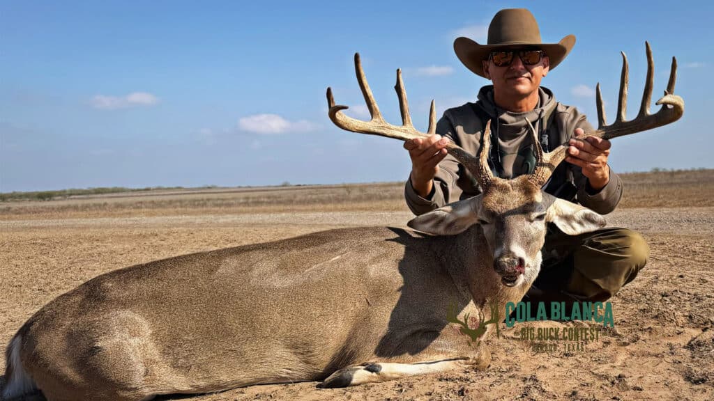 cola blanca laredo texas