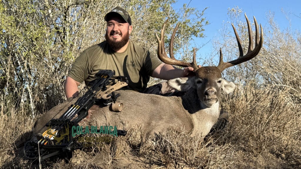 cola blanca laredo texas